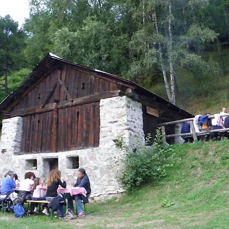 Alpenrose Bio Wellness Naturhotel 3* Cogolo
