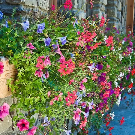 Alpenrose Bio Wellness Naturhotel Hotel