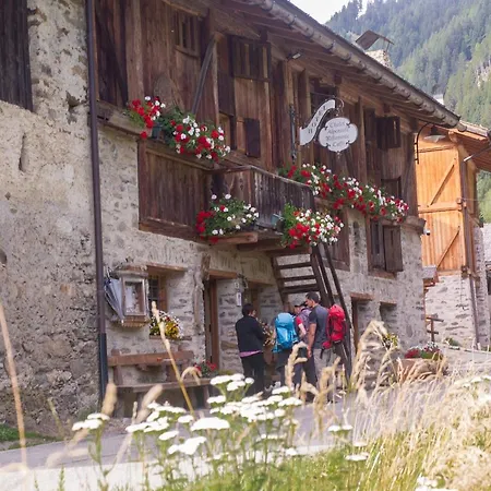 Alpenrose Bio Wellness Naturhotel Hotel Cogolo