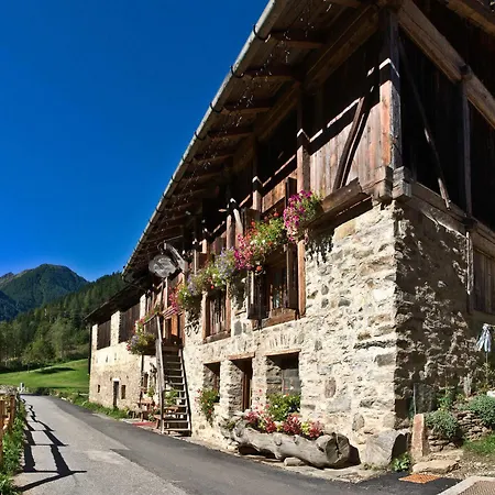 Alpenrose Bio Wellness Naturhotel Hotel 3*
